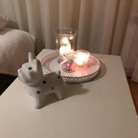 V&t Roo Apartament