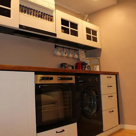 V&t Roo Apartament Tallin